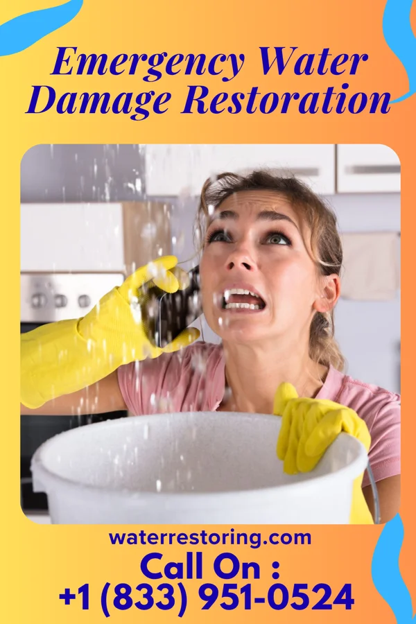 Emergency Water Damage Restoration in Buffalo, MN